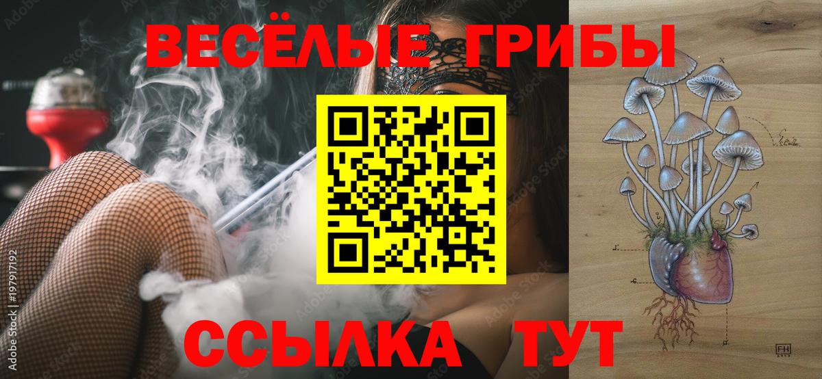 Галлюциногенные грибы прущие грибы  Галлюциногенные грибы Cubensis  Вход с VPN  Волгоград 