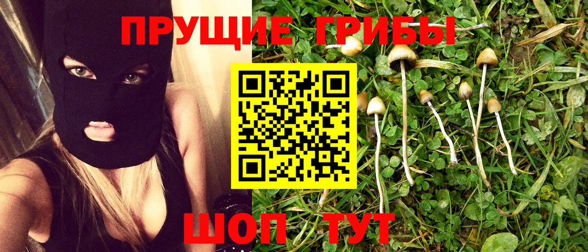 Галлюциногенные грибы GOLDEN TEACHER Волгоград